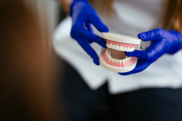 Best Pediatric Dentistry  in Thompsonville, PA